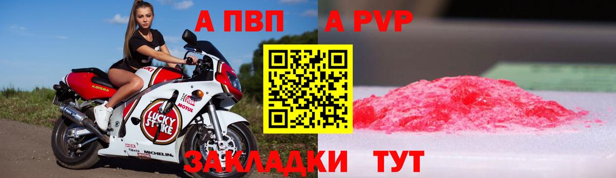 А ПВП крисы CK Сыктывкар