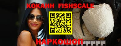 крисы Пенза