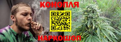 спиды Обь