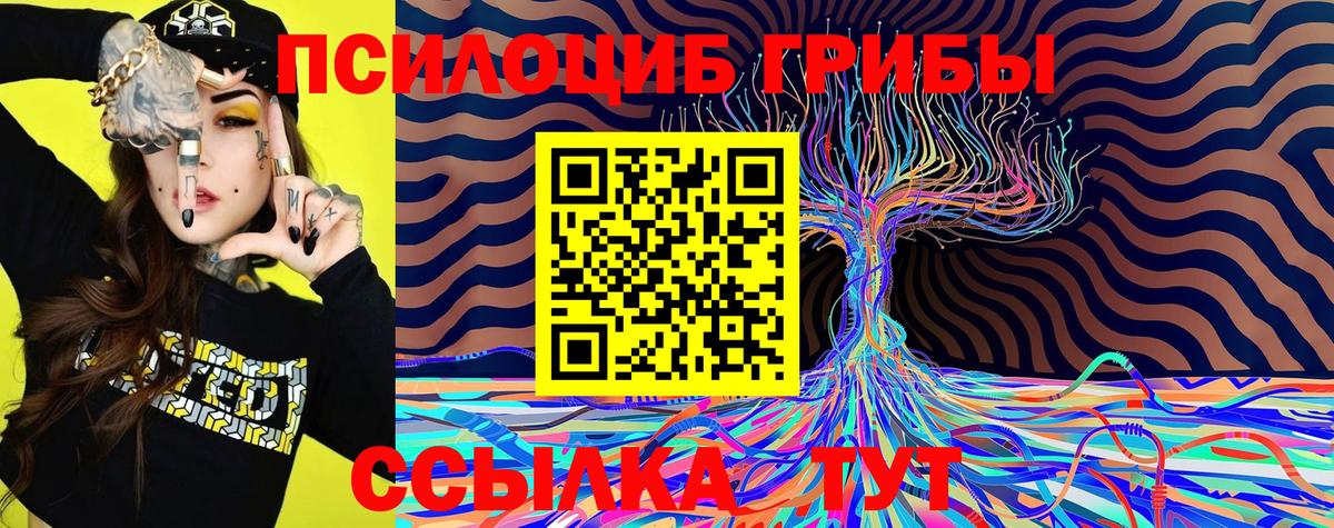 Галлюциногенные грибы Psilocybine cubensis  Вход с VPN  Сыктывкар  Псилоцибиновые грибы Magic Shrooms 